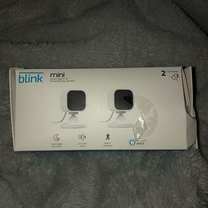 Blink mini cameras